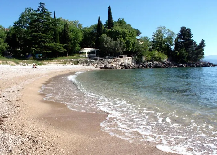 Family-friendly With Swimming Pool - Opatija - 24675 *